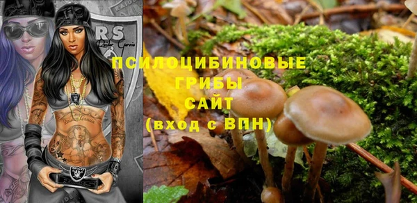сатива Бугульма