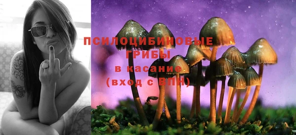 сатива Бугульма